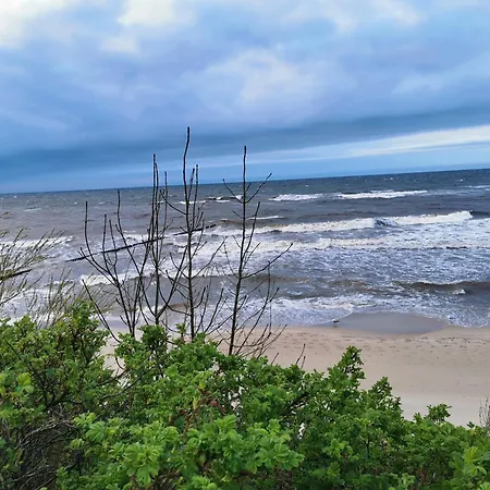 Bormik, 150m Od Plazy, Basen شقة *